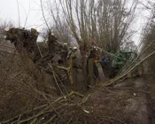 j0a9hh9ifxqamxhfjiqxj73n6 219854