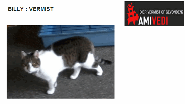 j6oa93lmgs6gs5upbzxbbnix9 1 262