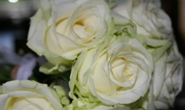 j8d6rix9xqptj15poffc9yp45 2013 08 2311 37 12