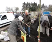 jc5hd2pshg41rhmmr3p8tlqqd 215383