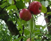 jgfb1623el5egcysx6noxzq7q 227713