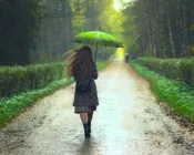 jicpbr8reqd0byyyfonh5gct0 233838