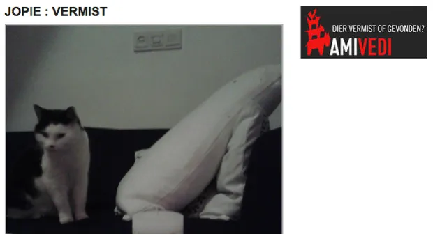 jlalq6j2ustuqm2jts2eqqxrm 1 1015