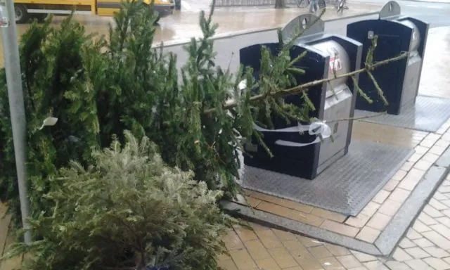 kerstbomenschuytgraafinschuytgraaf 640x384