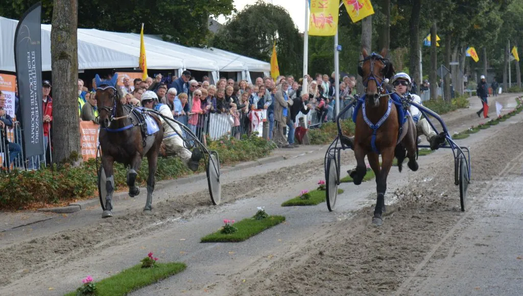 kortebaan bemmel 2019