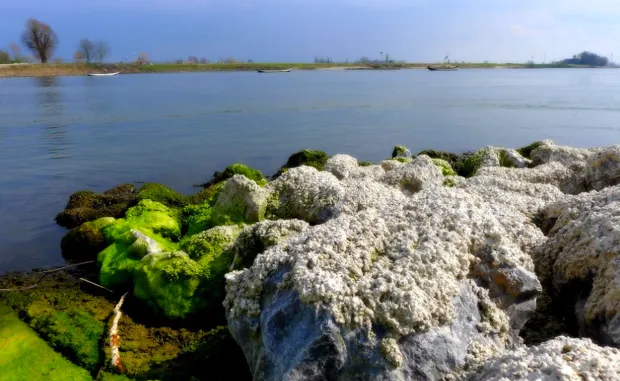 kvify2nnud7x1vfxjen5nw13k 11 58