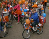 l3w7esn4gv80s9wx0horb3v7h 231491