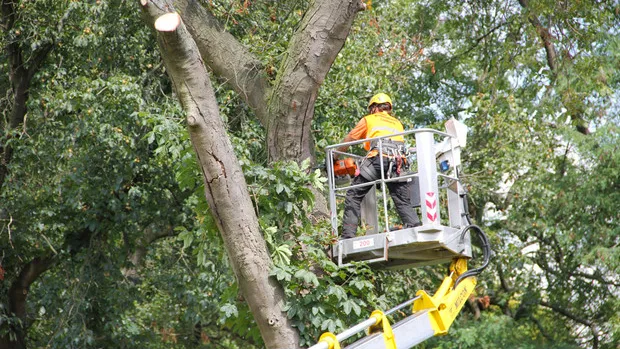 l7ezfbde5i9egvwn4rkwoqcv8 2014 01 1717 29 23