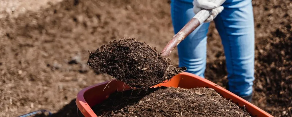 landelijkecompostdag website
