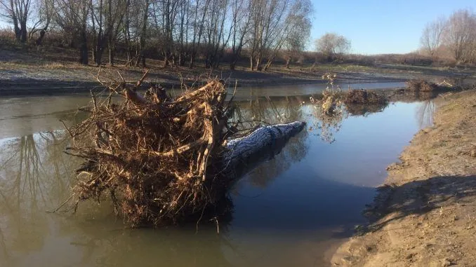 levendelandschapgendt doornenburgklompenwaard winter2 678x381 1