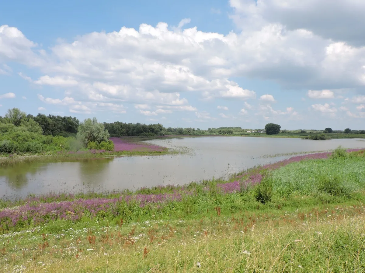 lingewaard natuurlijkklomperwaardunnamed21