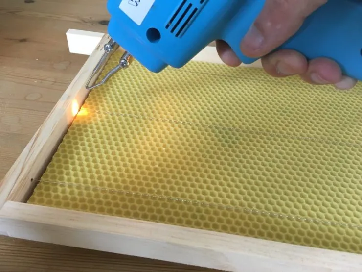 lingewaard nieuws bijenzwermen leon dekkers e1493842805894