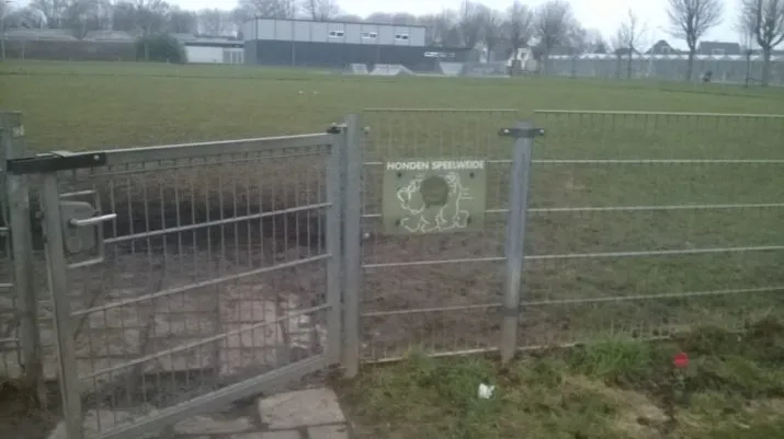 lingewaard nieuws hondenuitlaatstrook e1486577526310