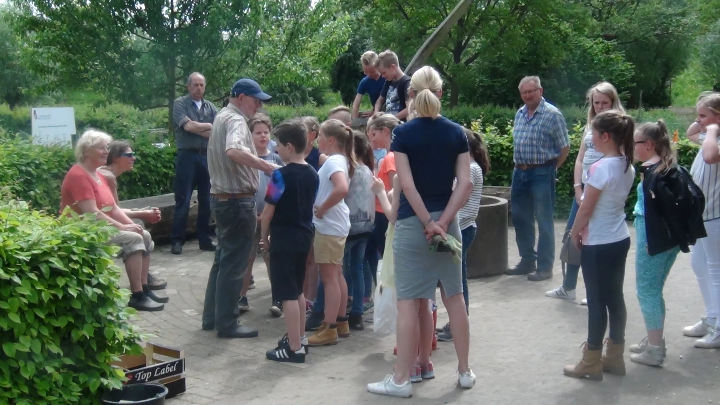 lingewaard nieuws moestuin