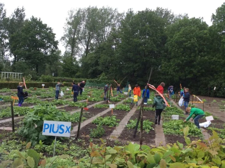 lingewaard nieuws moestuintjes huissen e1487202966784