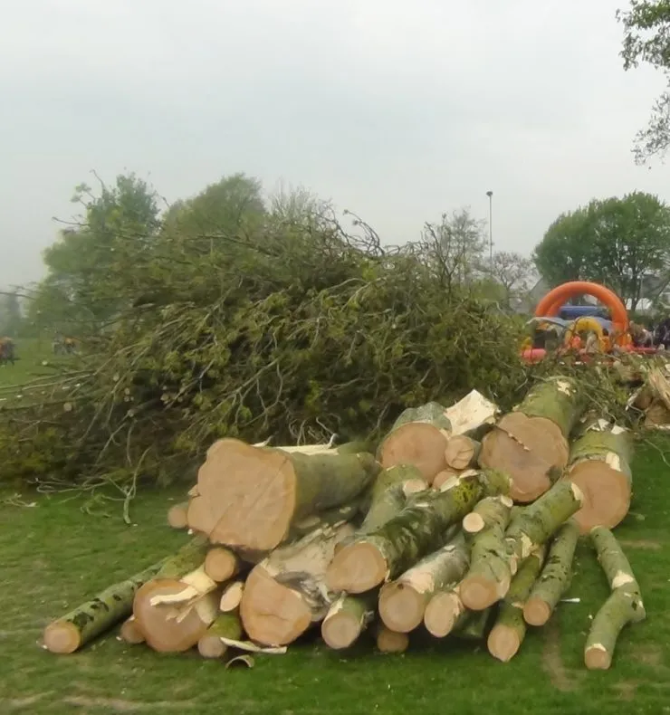 lingewaard nieuws vernielde bomen e1493738026767