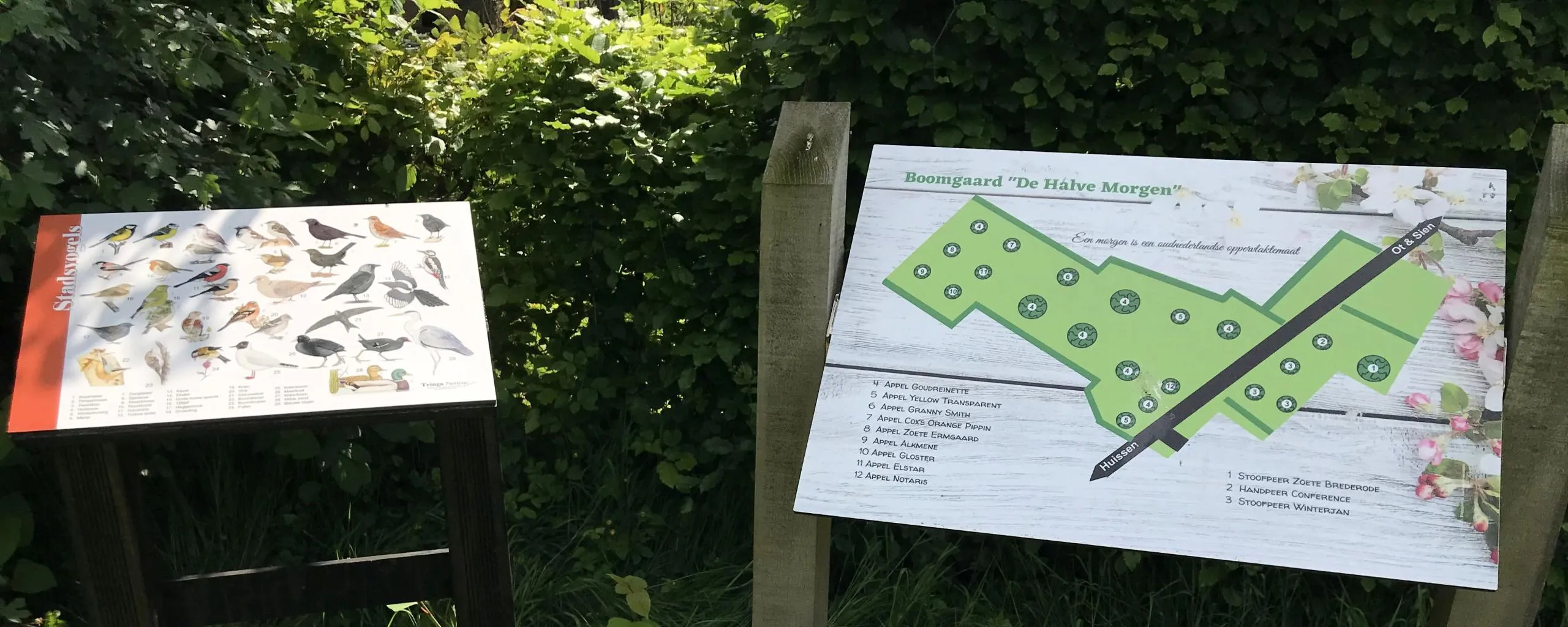 lingewaarddoet chequepaneel vogels boomgaard