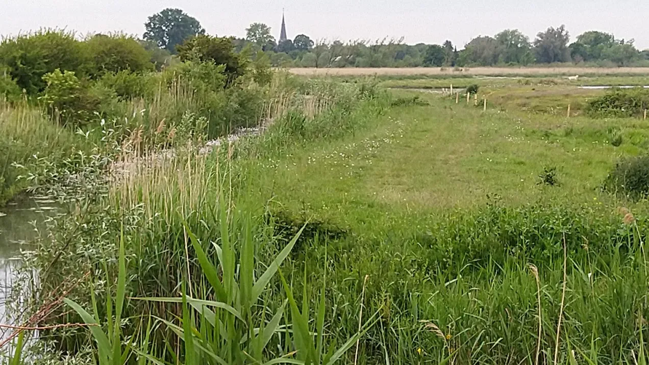 lingewaardnatuurlijk 1