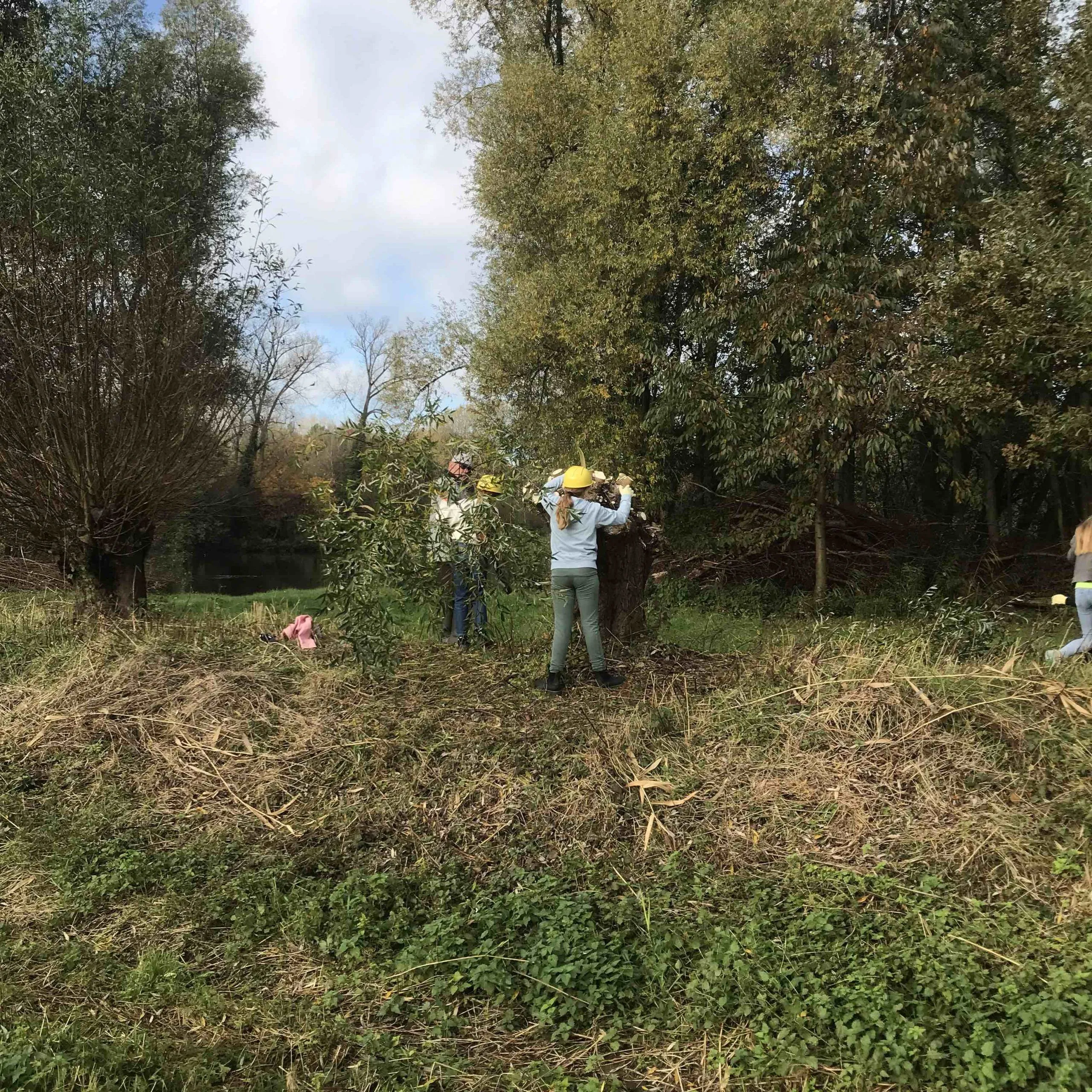 lingewaardnatuurlijkstagebegeleiderimg 6771 kopie scaled 1