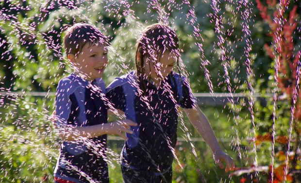 linst37skrs39bhn3n9pf5uot 1 426