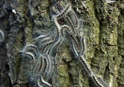 lja86y9nd6t8r64ibetmcf2ty 2013 05 2721 16 18