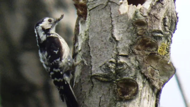 lkgvetttm38ezw3pqzpragish 1 792