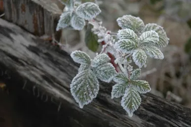 lnzovrnsnquk95fddof2e6pcp aaaa