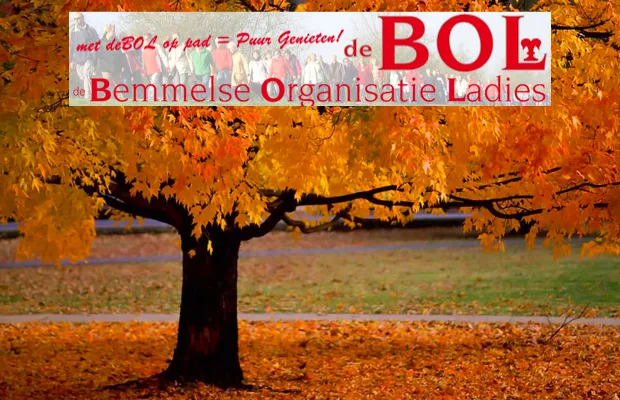 ltcn7sduzob9pwumd0ivt99vw 2013 11 1120 17 34