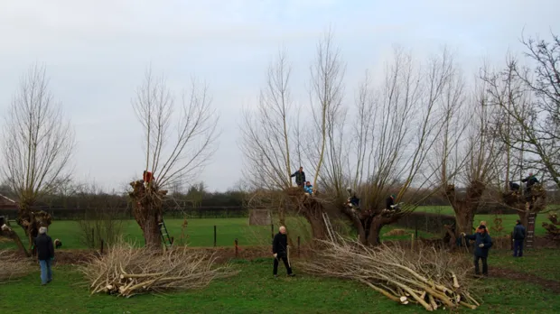 lvckz30nhxy637hgwn76xd9l9 1 774