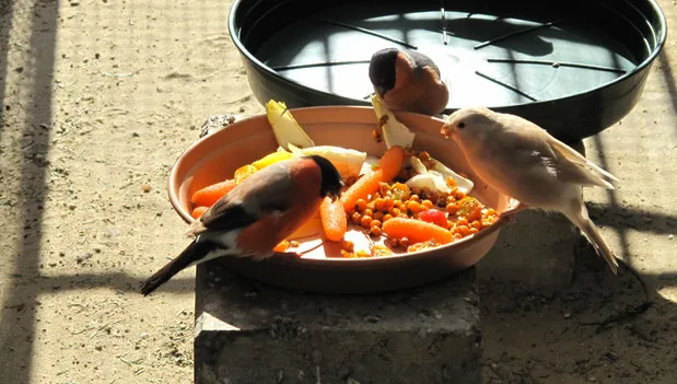 lwp2aj6lpkpxqh420jkbwgpmu 1 868