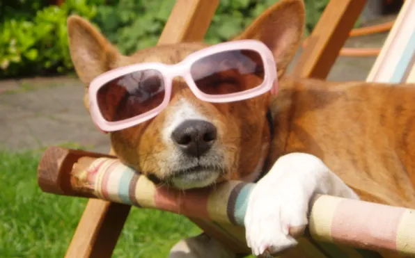 m8r30mzj6slte4gurg8doqof2 1 122