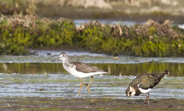 mgapb7ruiya0vd5ji12oxgb3t excursie