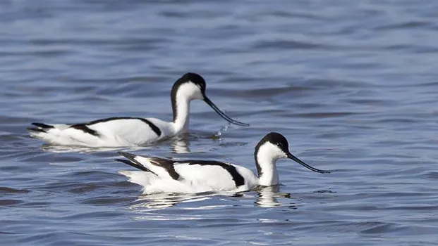 mhwqj12cexagcpab1lpql63u5 2014 03 2711 54 48