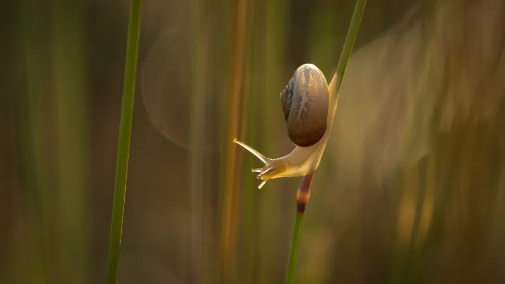 mooilingewaardomroeplingewaardhst 6467 bewerkt 1024x576 1