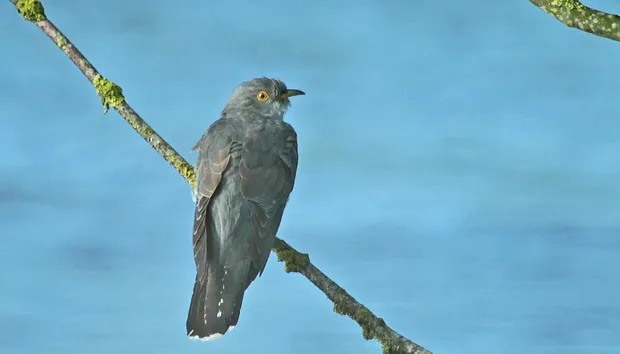 mpgjebe5afyxce9y8e4lpommf 1 451