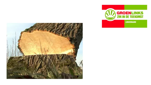 msoifw29028r18l48pg2udkg1 1 573