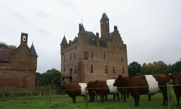 mzuz3p154gpm74ch538lx0tr3 kasteelboerderij