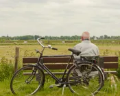 n20ie61ghjbeu37lzde9suv37 232027