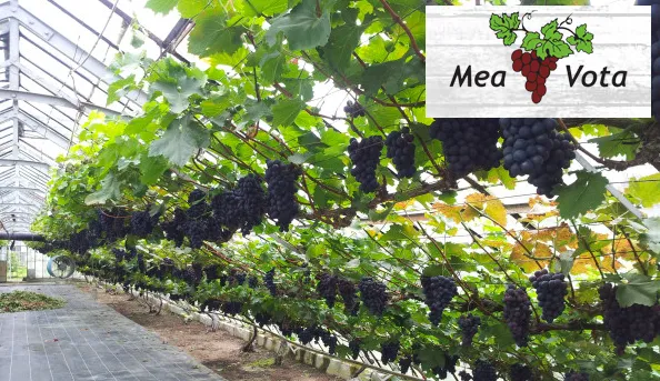 n50vm43p76z7zjkng9tjhu3k5 2013 11 1510 34 33