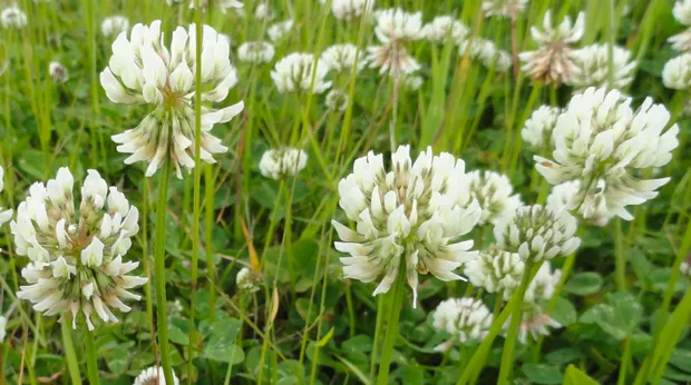 njknm1ul94rn6edn6wpr493r8 2014 03 2610 38 57