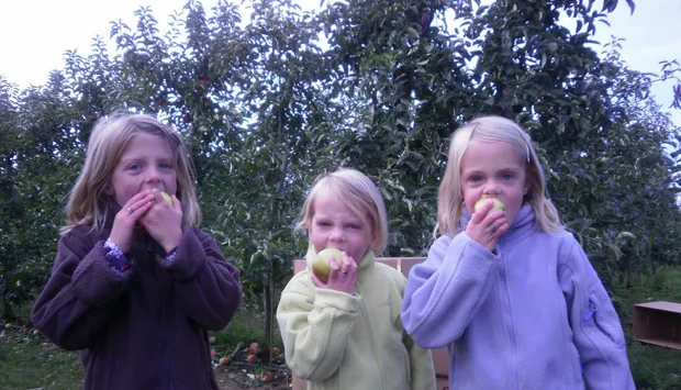 nlqvnzobxis41city13n3dxtl appelplukdag