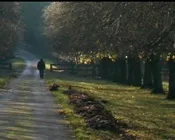 obmoy5hh92mjgxzmfoki06t2s 231488