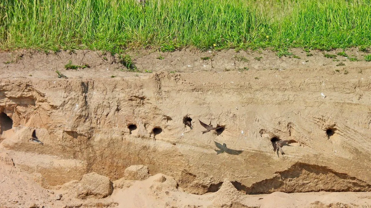 oeverzwaluwensln 106