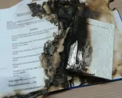 ohhraa5spk3wlz8b7b0fqgwrg 233836