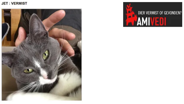 ojeb26crzryhovla3giq67765 1 292