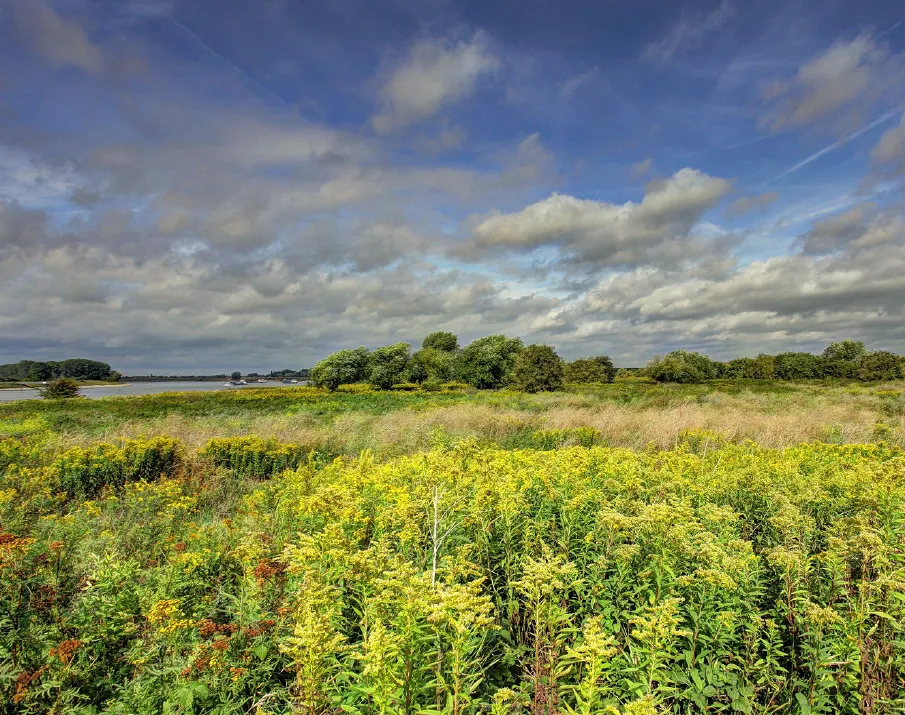 omgevingsvisiegemeentelingewaarduiterwaarden