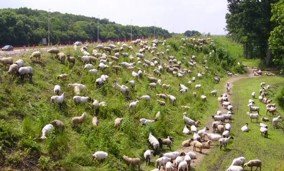 oujb9i38j04xm5gbib5e859vn 1 507