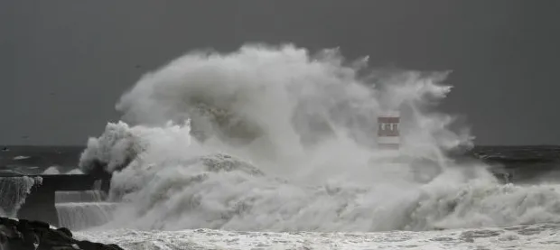 p39gqsrzkzxd5klvdrtfa58w5 1 733