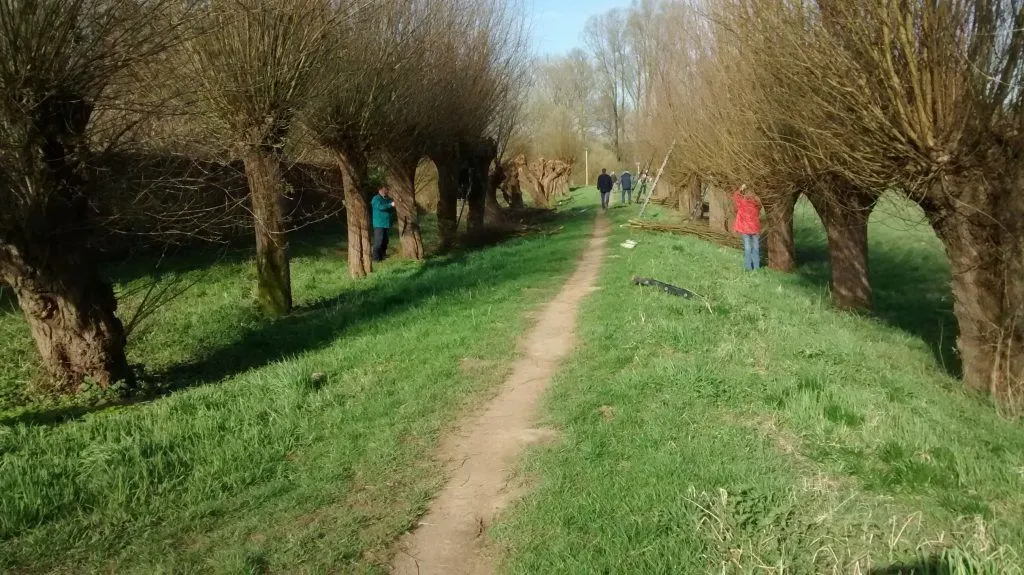 parkholthuizensln huissen wilgenlaant 20170325 voor 1024x575 1