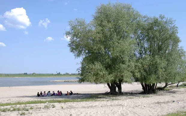 pgjk3xpumqvv1ballgj4n9j35 2013 06 2719 42 02